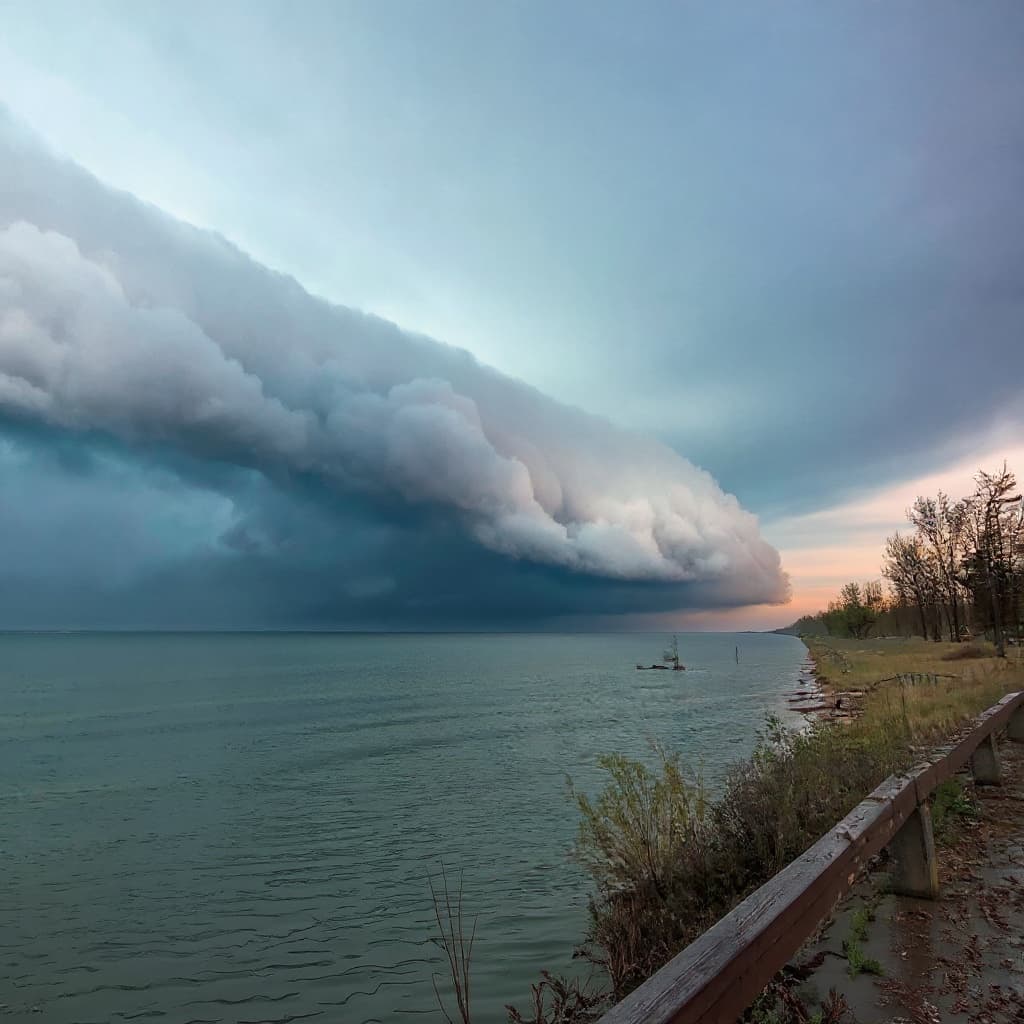 Cómo Leer un Pronóstico de Pesca: Guía Práctica