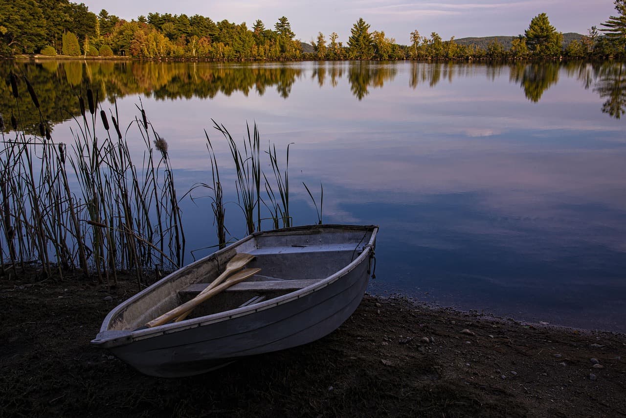Guía de Pesca: Presa Comedero 2026 — Lobinas Trophy en la Sierra
